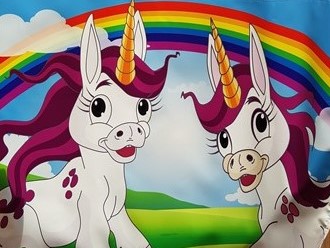Unicorn bouncy castle hire Sheffield Chesterfield Rotherham